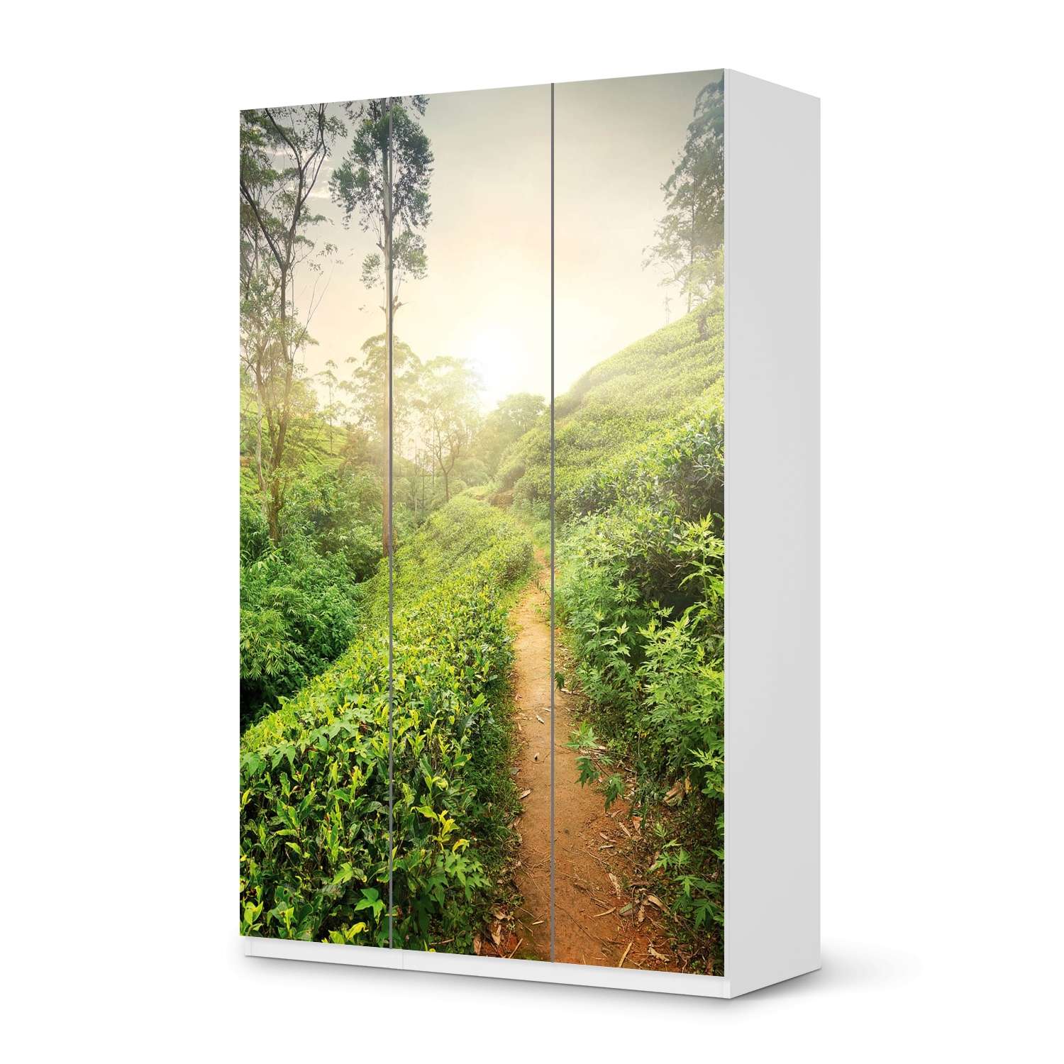 Selbstklebende Folie Pax Schrank 236 cm - 3 Türen (IKEA) Green Tea Fields –  creatisto