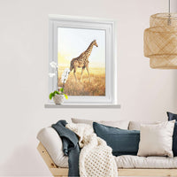 Fensterfolie [hoch] Savanna Giraffe  - Wohnzimmer70cm x 100cm