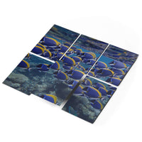 Fliesenaufkleber 15x20 cm Selbstklebend - Fish swarm