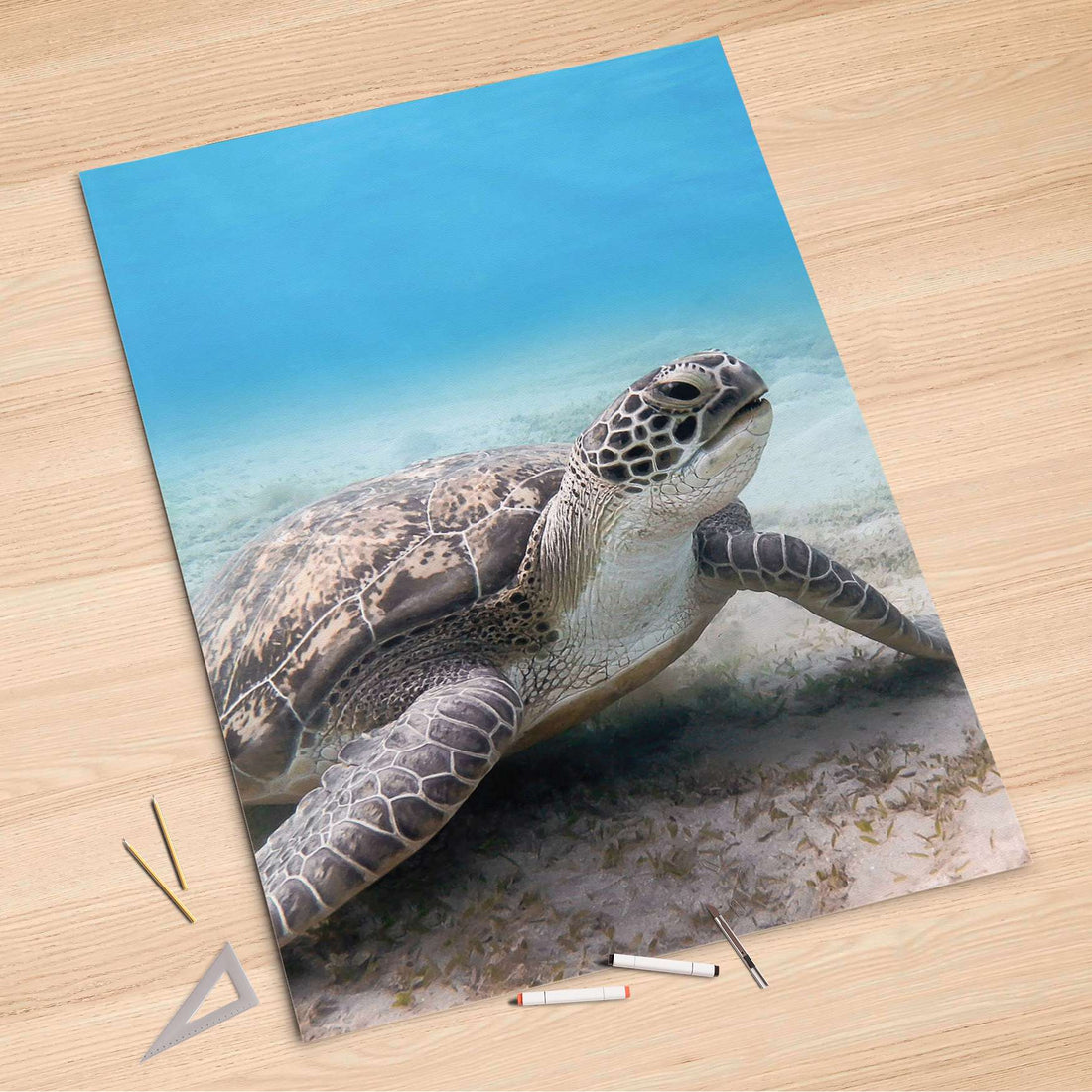 Folienbogen Green Sea Turtle - 100x150 cm