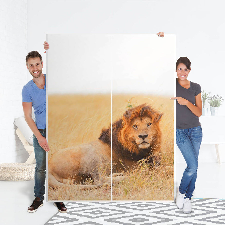 Möbel Klebefolie Lion King - IKEA Pax Schrank 201 cm Höhe - Schiebetür 75 cm - Folie