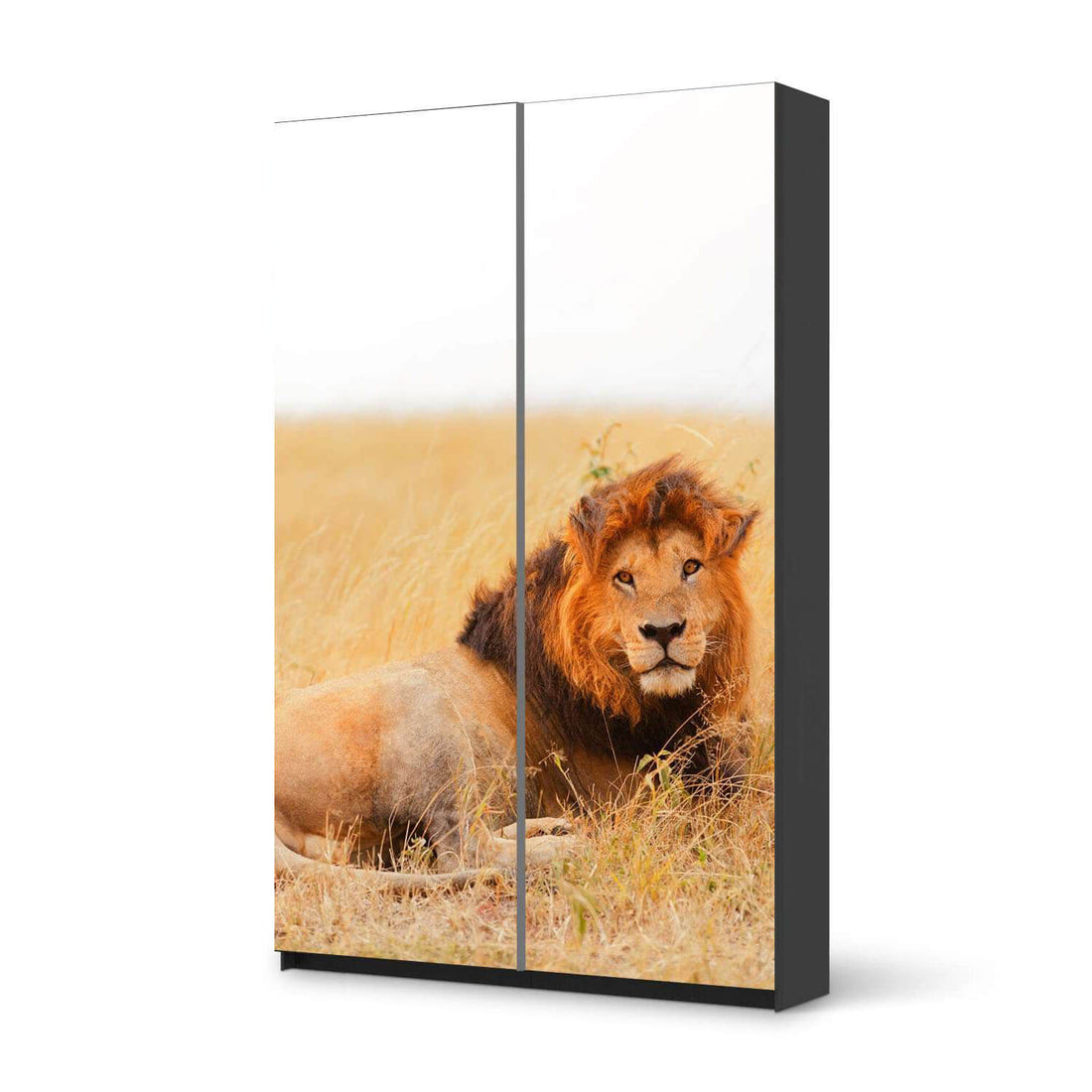 Möbelfolie IKEA Lion King - IKEA Pax Schrank 236 cm Höhe - Schiebetür 75 cm - schwarz